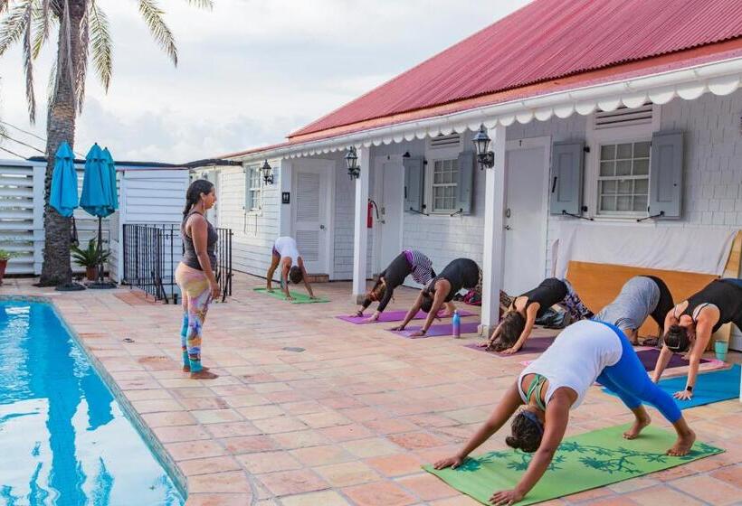 هتل Sugar Apple Bed And Breakfast