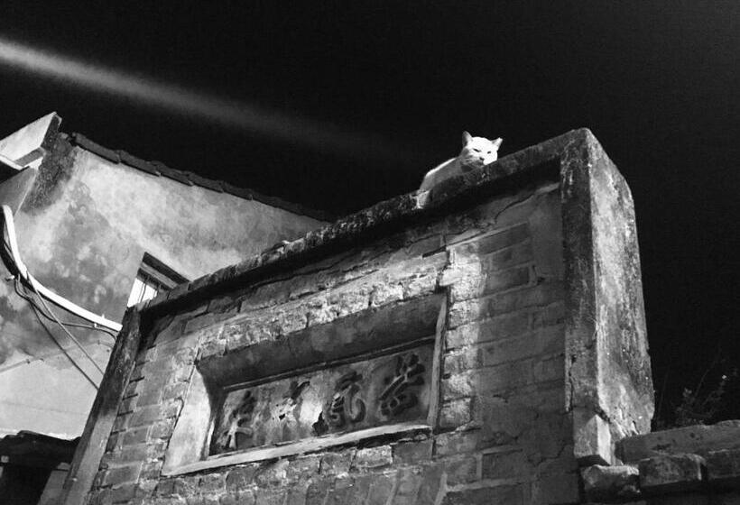 پانسیون Hello Guesthouse