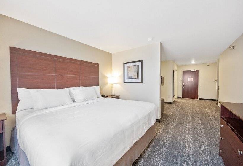Cobblestone Hotel & Suites   Austin