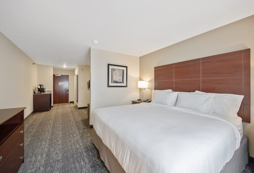 Cobblestone Hotel & Suites   Austin