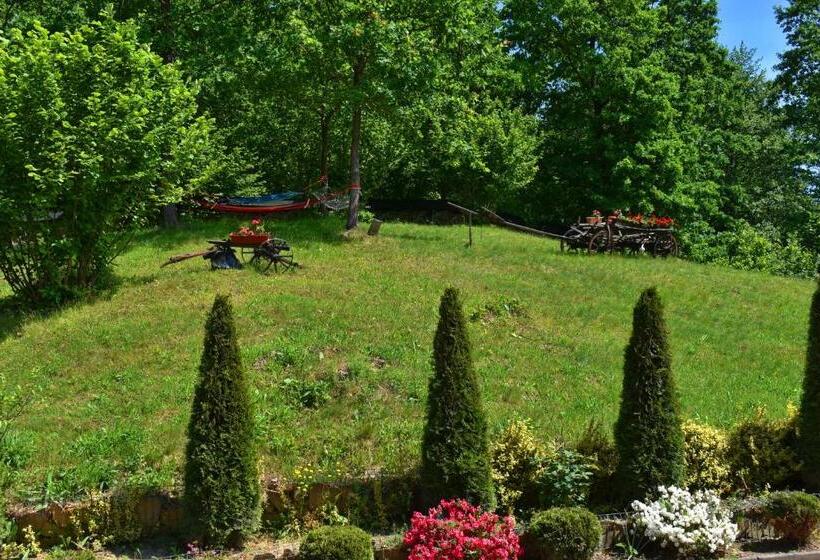بنسيون Casa Papițu