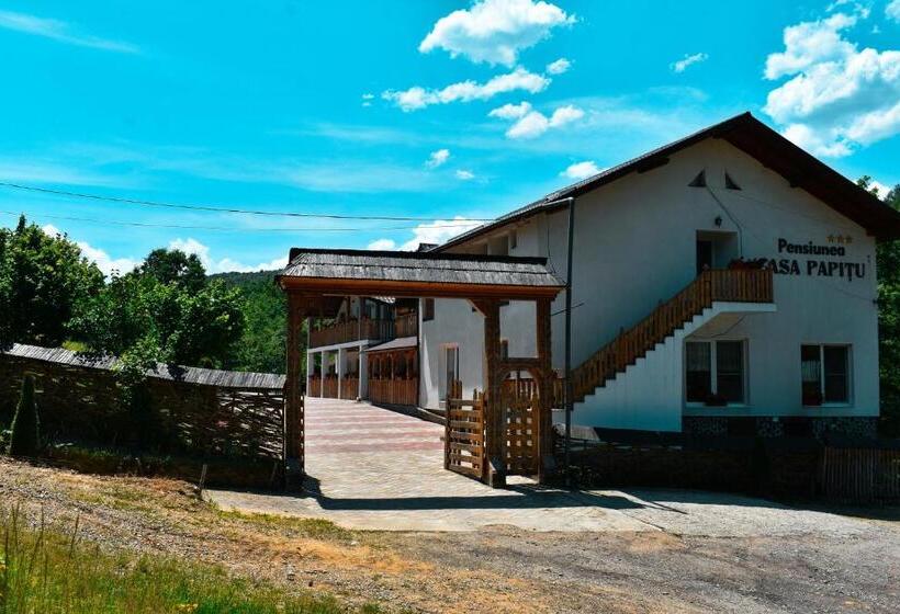 بنسيون Casa Papițu