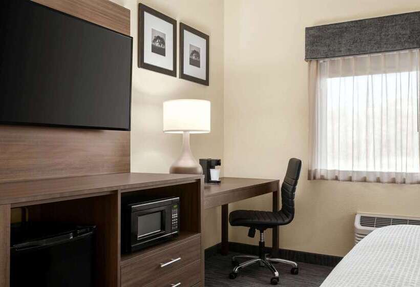 هتل Wingate By Wyndham Appleton