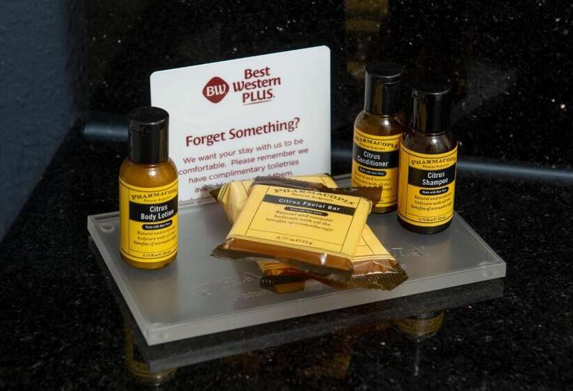 فندق Best Western Plus Beckley Inn