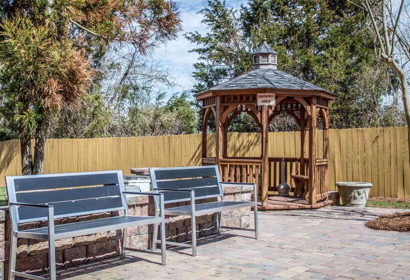 ホテル Comfort Inn & Suites Kannapolis   Concord