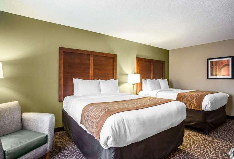 ホテル Comfort Inn & Suites Kannapolis   Concord
