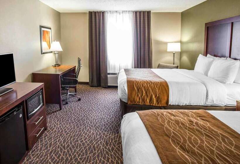 ホテル Comfort Inn & Suites Kannapolis   Concord