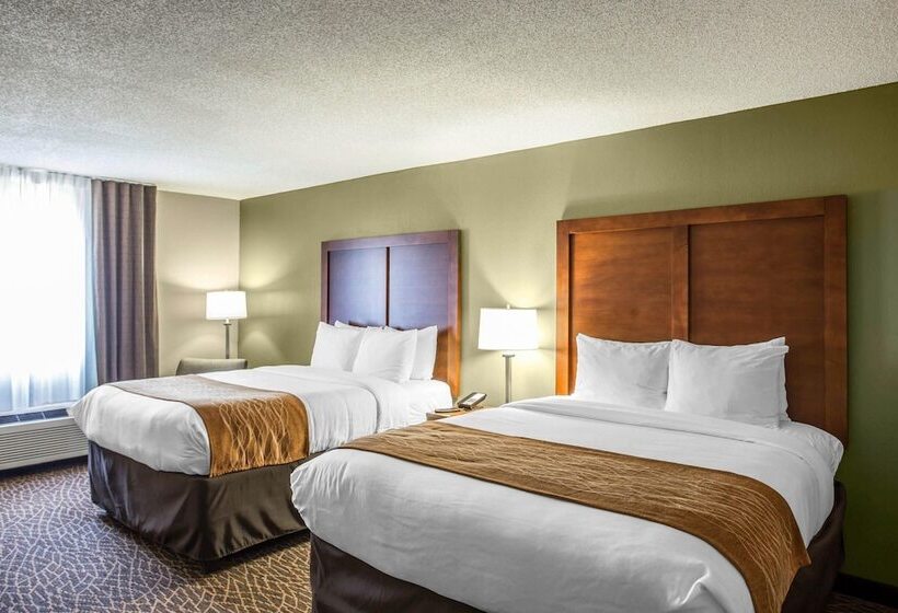 ホテル Comfort Inn & Suites Kannapolis   Concord