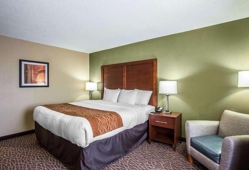 ホテル Comfort Inn & Suites Kannapolis   Concord