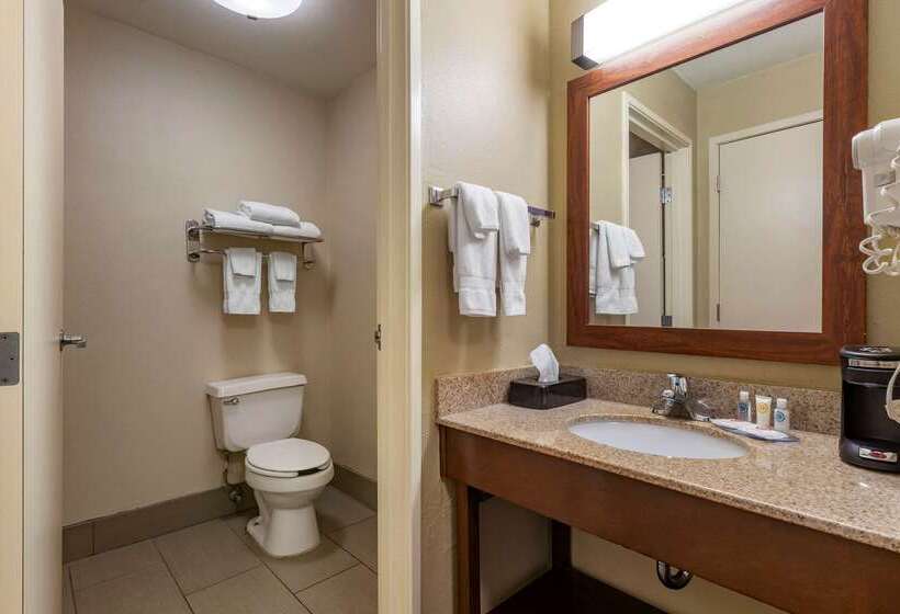 Hotel Comfort Inn & Suites Waterloo  Cedar Falls