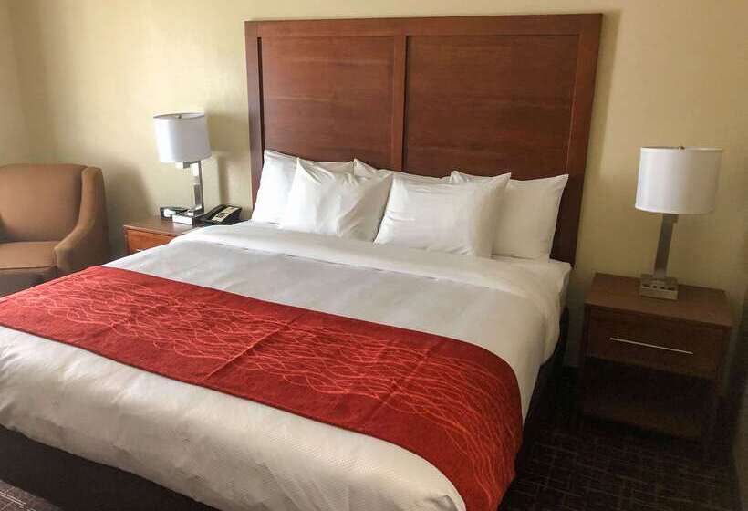 فندق Comfort Inn Wichita Falls Near University