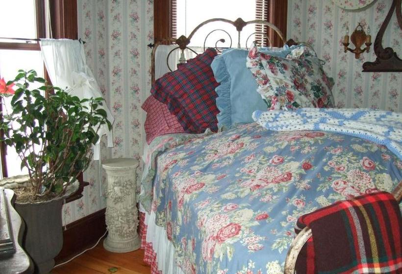 בית מלון כפרי Complejo Enchanted Nights Bed & Breakfast