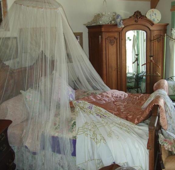 בית מלון כפרי Complejo Enchanted Nights Bed & Breakfast