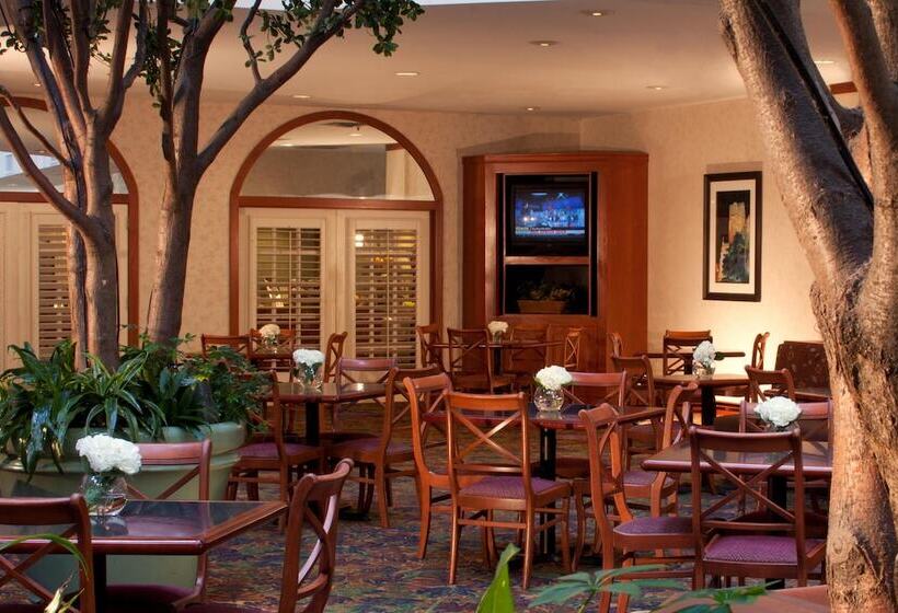 Fotos del hotel Embassy Suites By Hilton Houston Near The Galleria:  60