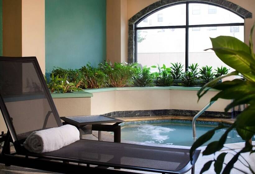 Fotos del hotel Embassy Suites By Hilton Houston Near The Galleria:  73