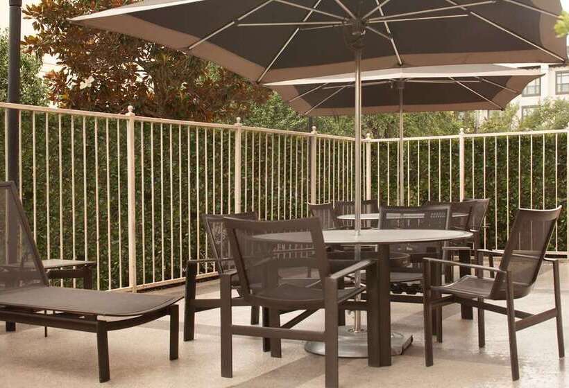 Fotos del hotel Embassy Suites By Hilton Houston Near The Galleria:  10