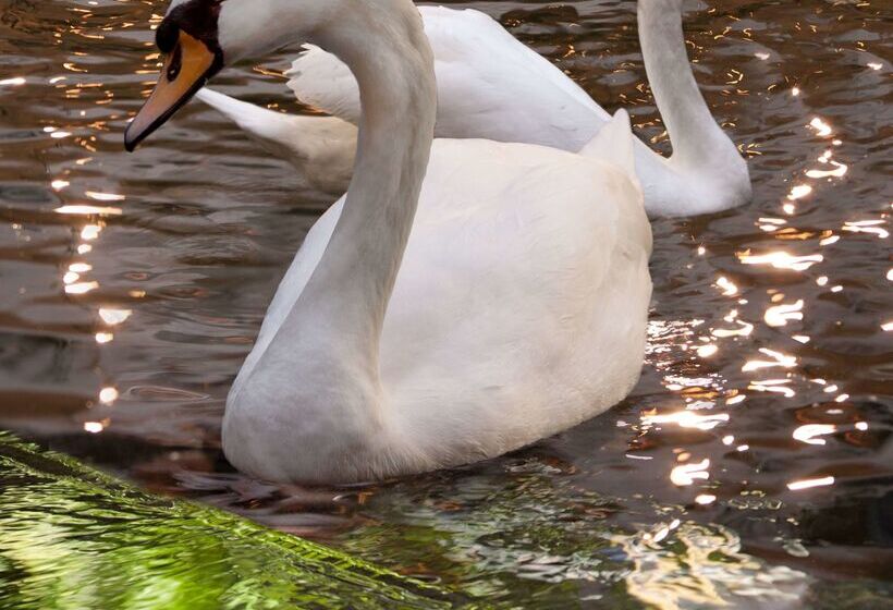 Fotos del hotel Embassy Suites Las Vegas:  67