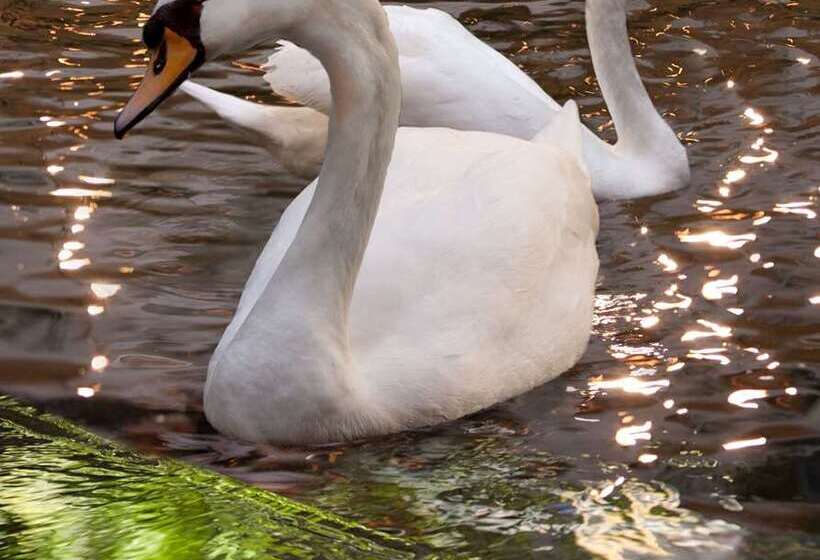 Fotos del hotel Embassy Suites Las Vegas:  9