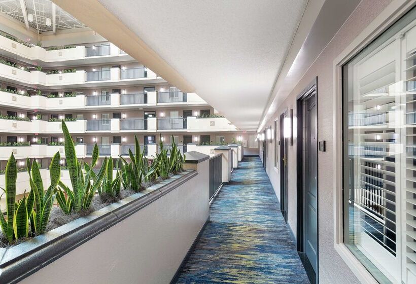 Fotos del hotel Embassy Suites Orlando - Airport:  44