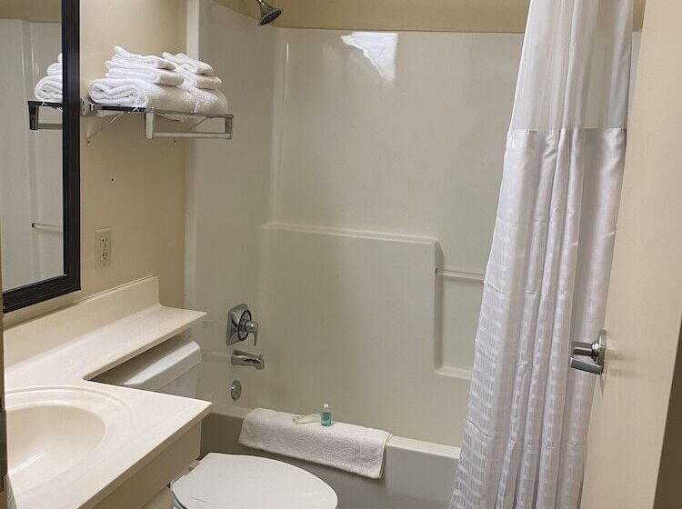 בית מלון כפרי Suburban Studios Auburn Hills   Detroit