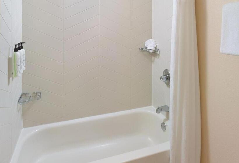 Отель Fairfield Inn & Suites By Marriott Atlanta Alpharetta