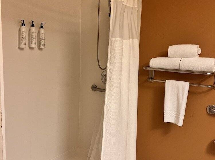 호텔 Fairfield Inn And Suites By Marriott Atlanta Suwanee