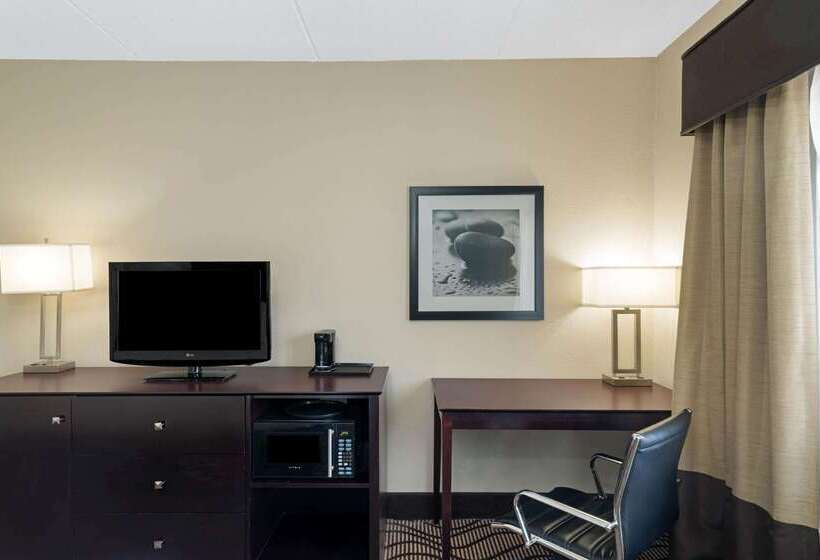 هتل La Quinta By Wyndham Knoxville Airport