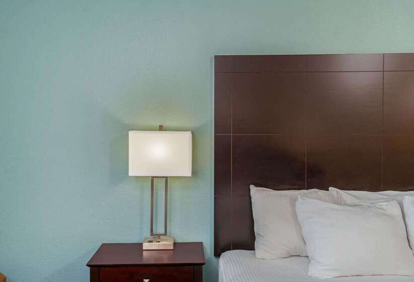 هتل La Quinta By Wyndham Knoxville Airport