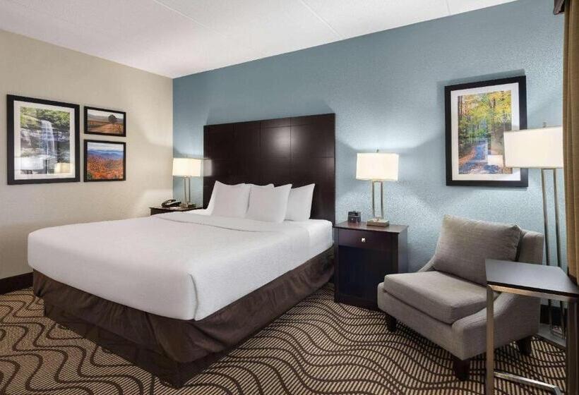 هتل La Quinta By Wyndham Knoxville Airport
