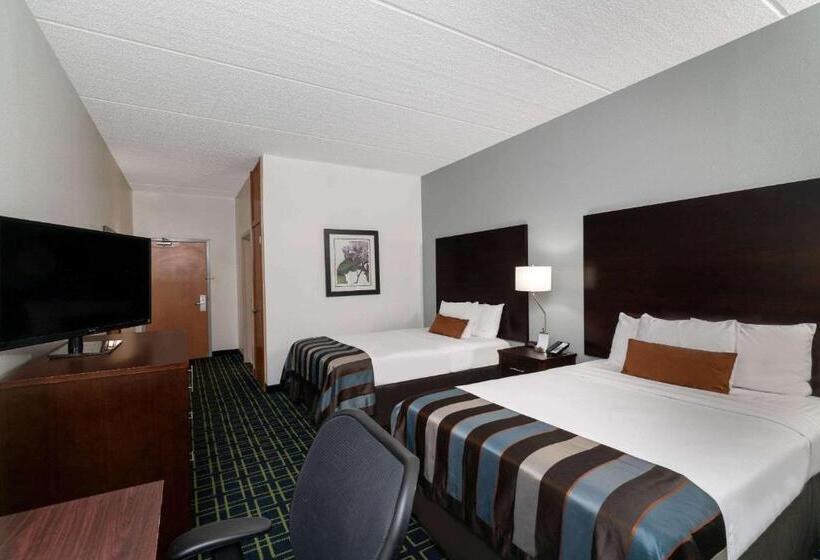 هتل Wingate By Wyndham Fletcher At Asheville Airport