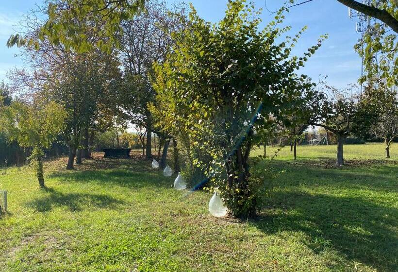 Pensjonat Balabuska Rooms & Garden