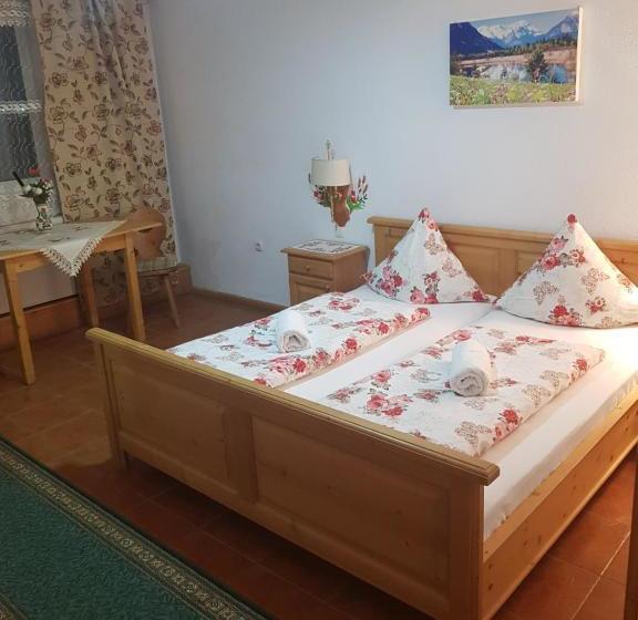 پانسیون Casa Cerbului1