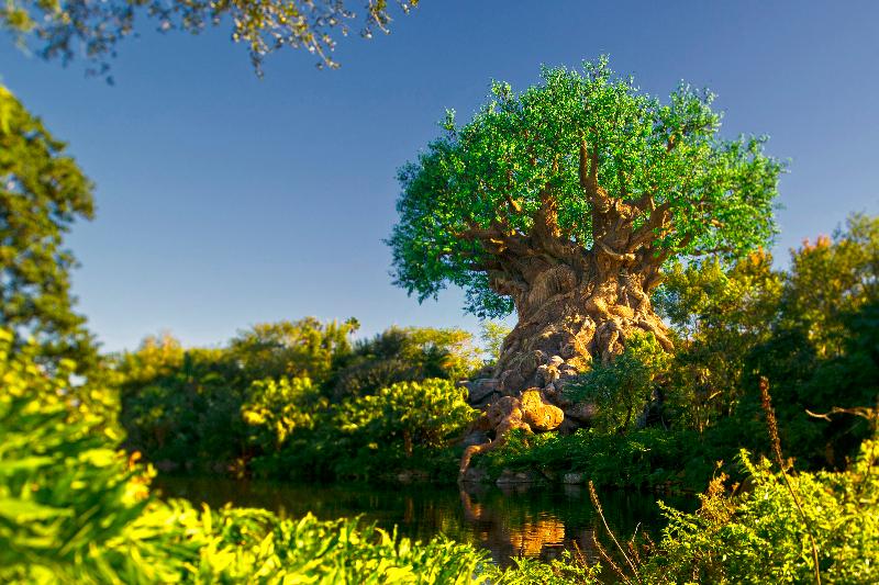 هتل Disney's Riviera Resort