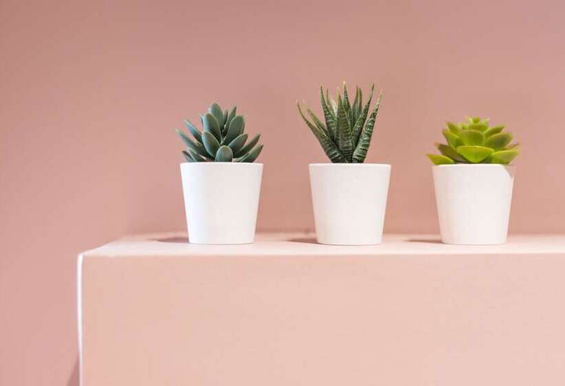 Fotos del hotel Still Athens:  25