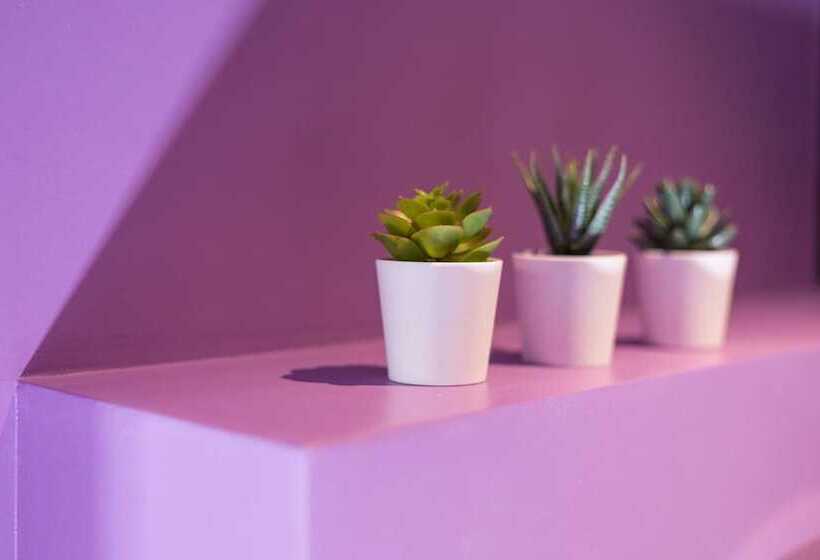 Fotos del hotel Still Athens:  12