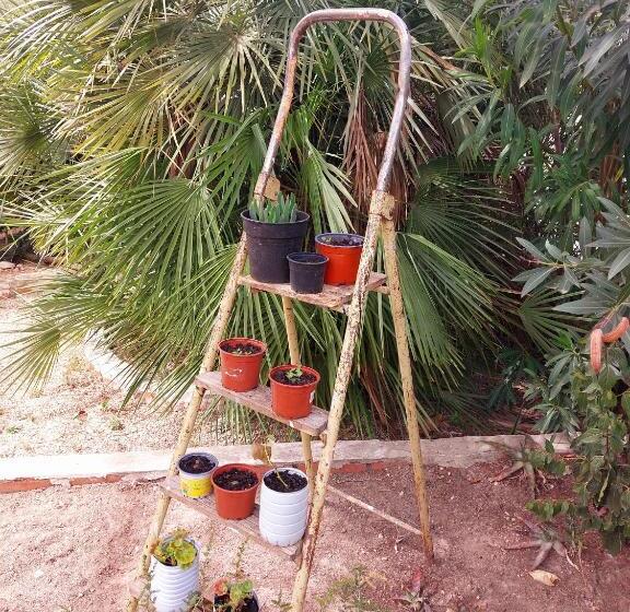 צימר Casa Josa