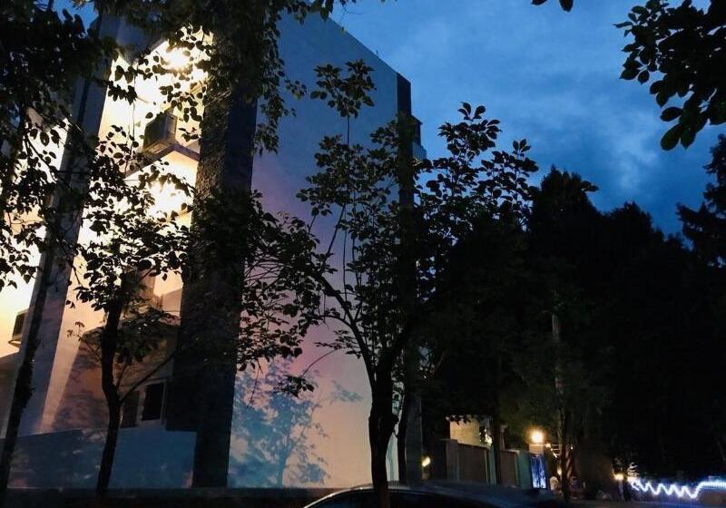 تختخواب و صبحانه Xitou Bi Xue Shan Lin Homestay