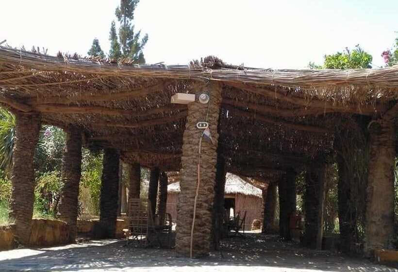 هتل Badry Sahara Camp