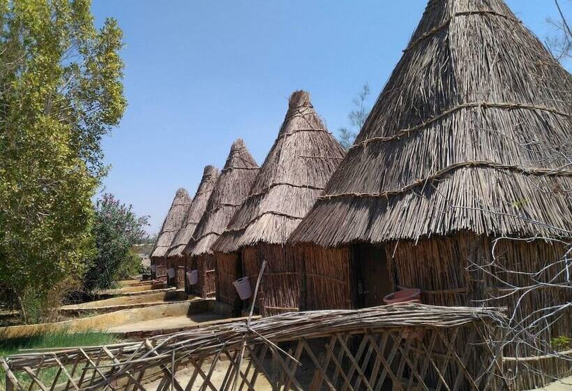 هتل Badry Sahara Camp