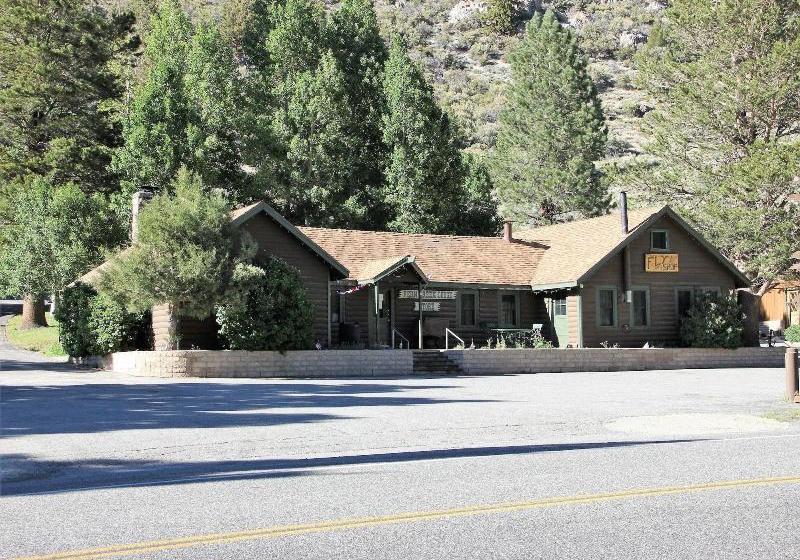 Отель Fern Creek Lodge