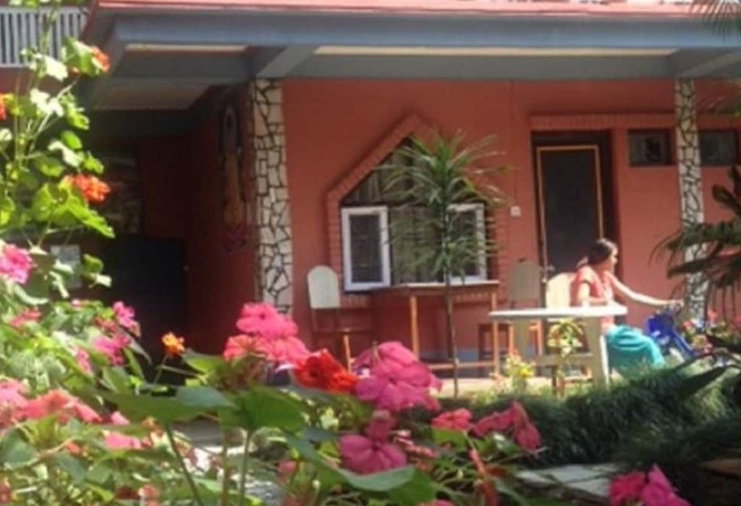پانسیون Little Buddha Guest House