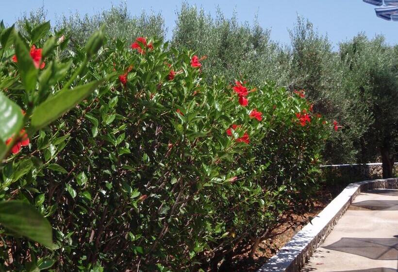Villas Michalis