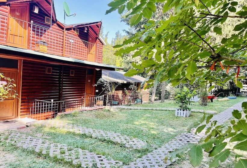 酒店 Agva Orman Evleri Forest Lodge