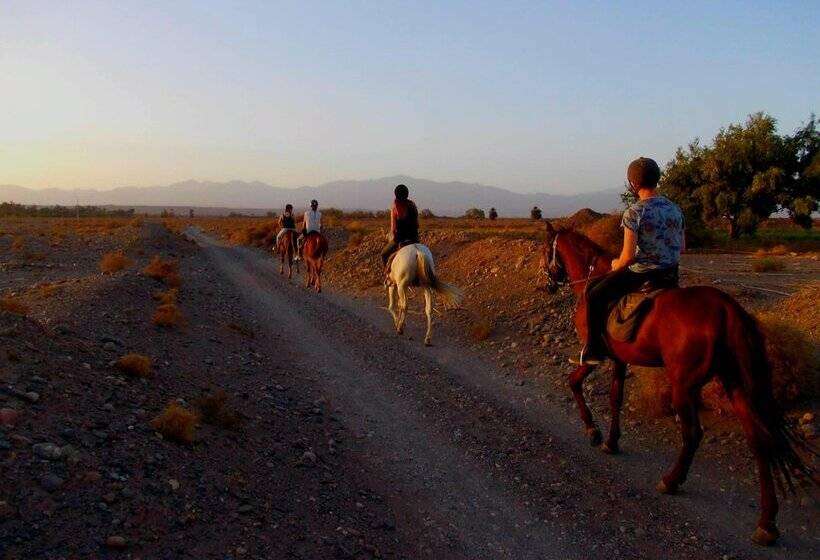 پانسیون Kasbah Les Nomades