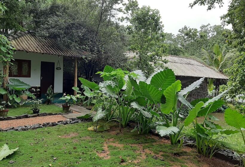 پانسیون Priya Homestay Kandalama