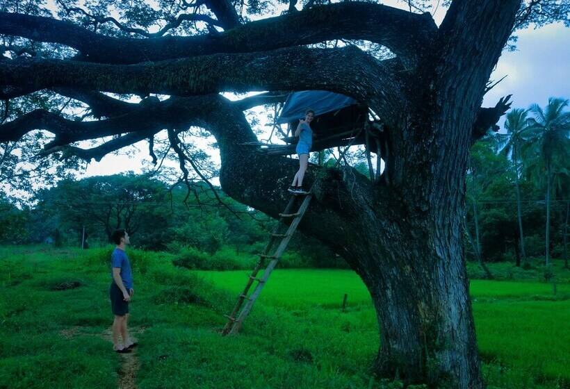 بنسيون Sigiriya Lahiru Homestay