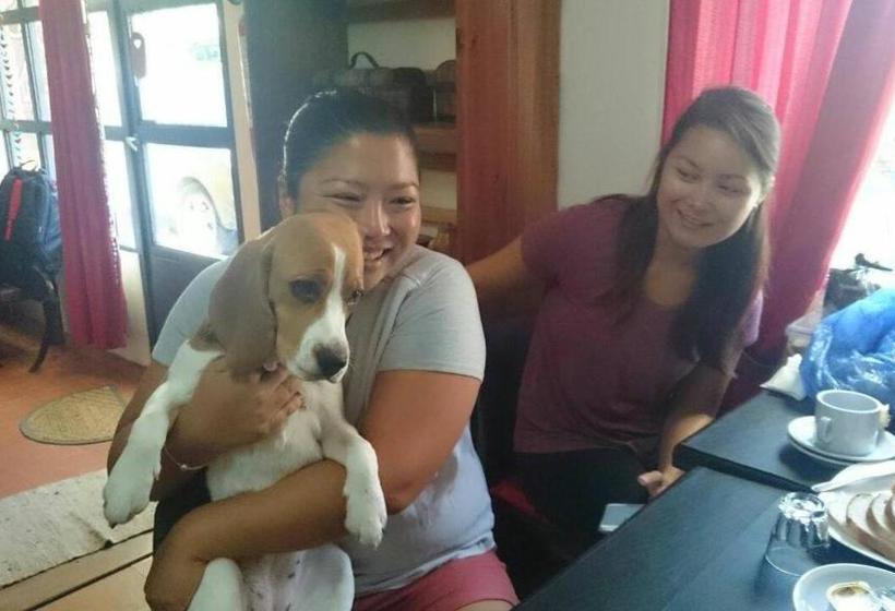 بنسيون Las Cabañitas