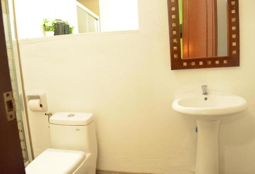 هاستل Escolta's Homey Lodge