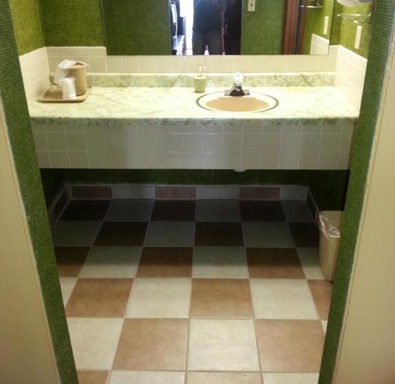 Gray Plaza Motel West Frankfort