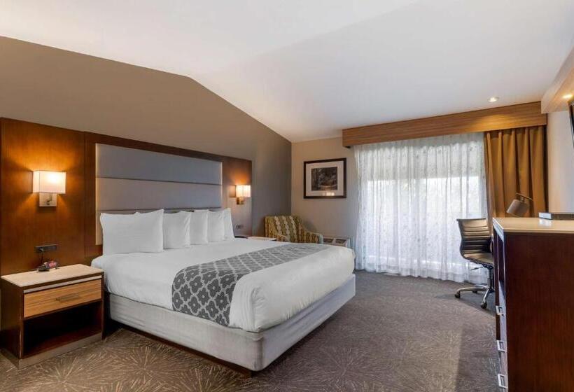 هتل Best Western Plus Forest Park Inn